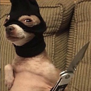 Meet your Posher, Humberto